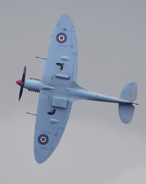Spitfire, showing the distinctive elliptical wing shape